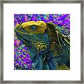 Iguana 2 - Abstract Framed Print