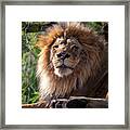 I'm Looking At You Framed Print