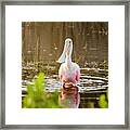 Images From The Dawn Patrol On Blackpoint Drive Framed Print