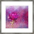 Impressionist Rose Framed Print