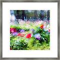 Anemones In Megiddo 2 Framed Print