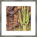 In A Dry And Thirsty Land Framed Print