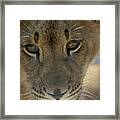 In Deep Thought Framed Print