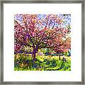 In Love With Spring, Blossom Trees Framed Print