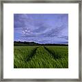 In The Blue Hour Framed Print