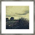 In The Countryside Framed Print