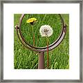 In The Eye Of The Beholder - Dandelion Seed Puff With Flower Reflected In Mirror Framed Print