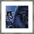 In The Eye Of The Raven, For The Benefit And Enjoyment Of The People Framed Print