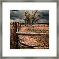 In The Eye Of The Storm Framed Print