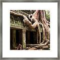 In The Ruins Of Ta Prohm Framed Print