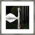 In The Shadows Of The Lake Framed Print