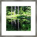 In The Trees Framed Print