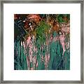 In The Woodland Area Framed Print