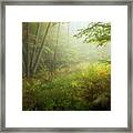 In The Woods #1 Framed Print