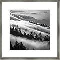 Incoming Fog, Mt. Tamalpais Framed Print