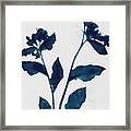 Indigo Blue Flowers 2 Framed Print