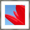 Inflated Lotus Series 1-1 Framed Print