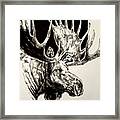Inked Moose Framed Print