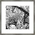 Inner Pictures Framed Print