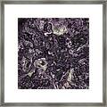 Interstition Framed Print