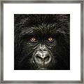 Into The Congo Framed Print