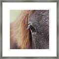 Into The Soul Framed Print
