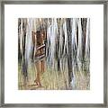 Into The Woods Framed Print
