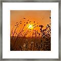 Iphonography Sunset 2 Framed Print