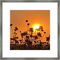 Iphonography Sunset 4 Framed Print