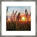 Iphonography Sunset 5 Framed Print