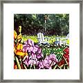 Iris Beauty Framed Print