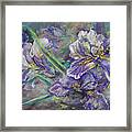 Iris Garden Framed Print