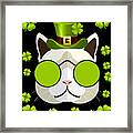 Irish Leprechaun Cat Framed Print