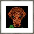 Irish Wolfhound With Shamrock Framed Print
