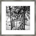 Island Dock Under Palms  Black And White Framed Print
