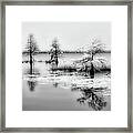 Island Of Trees On The Great Lake Bw Framed Print