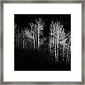 Isolated By Light Framed Print