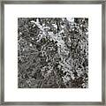 Jack Frost Was Here Framed Print