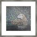Jaguar Crossing River Framed Print