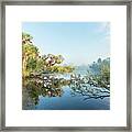 Jelks Preserve Framed Print