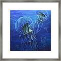 Jellies Framed Print