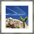 Joshua Tree Framed Print