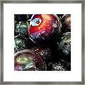 Juicy Plums At The Farmer's Market Framed Print