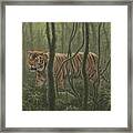 Jungle Cat Framed Print