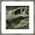Jurassica Framed Print