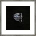 Just A Coot Framed Print