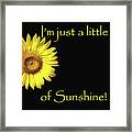 Just A Ray Of Sunshine Framed Print