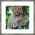 Just Chillin' Framed Print