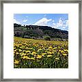 Just Dandy Framed Print