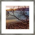 Kaanapali Beach Trees And Footprints Maui Sunset Framed Print